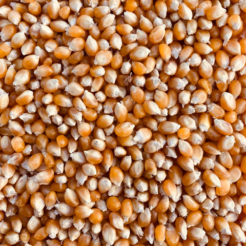 Popcorn, Yellow