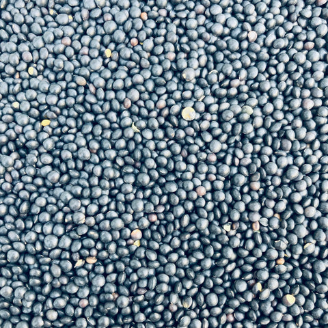Beluga Lentils