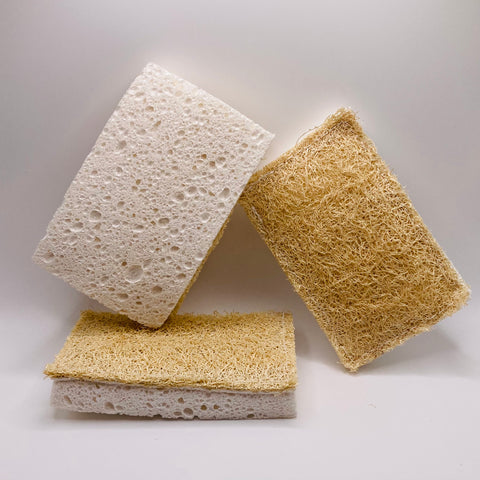 Biodegradable Sponge + Scrubber