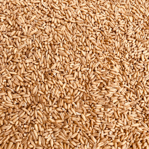 Oat Groats