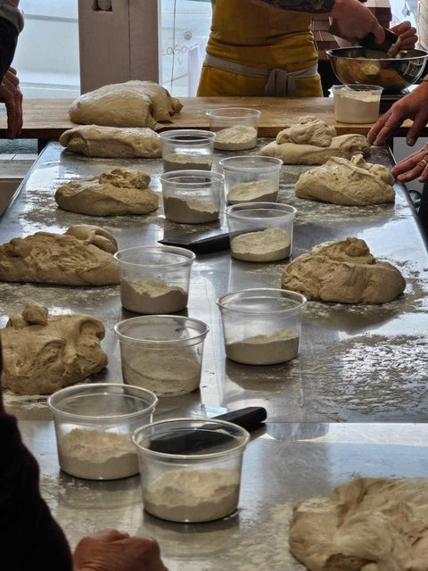 Sourdough Bread Class | 1 Ticket