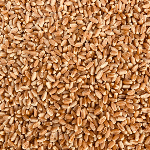 Wheat Berries, Hard Red