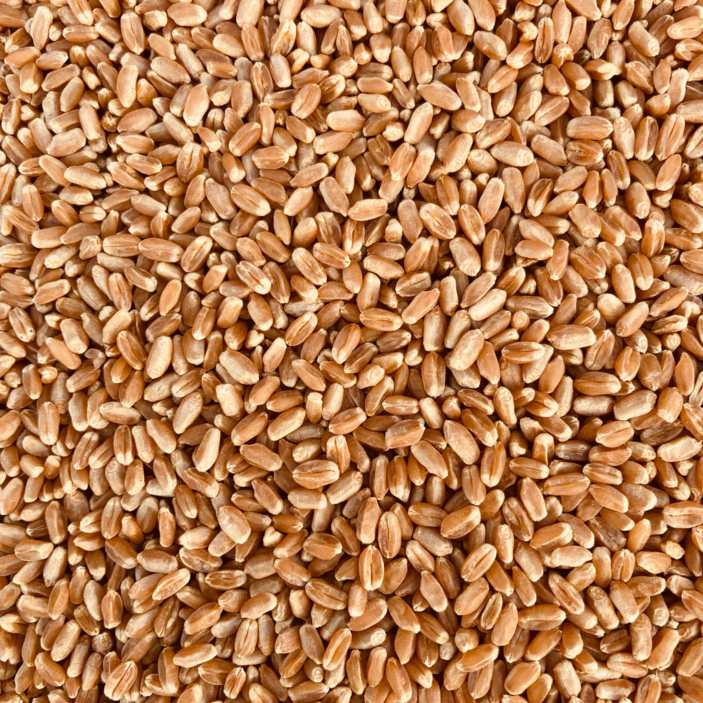 Wheat Berries, Hard Red