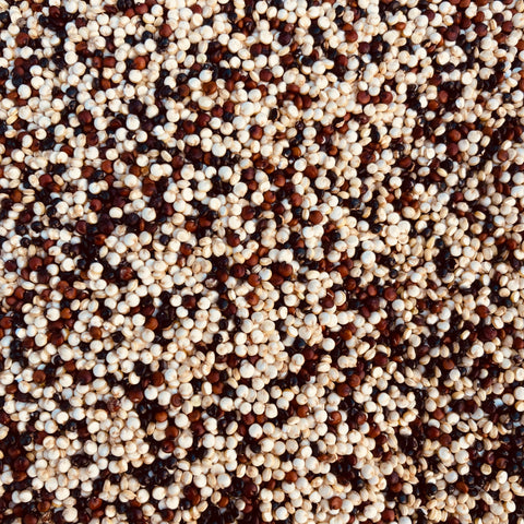 Quinoa, Tri-Color