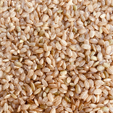 Short Grain Brown Rice