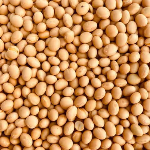 Soybeans