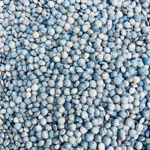 French Lentils