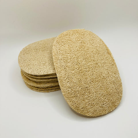 Loofah Dishwashing Sponge