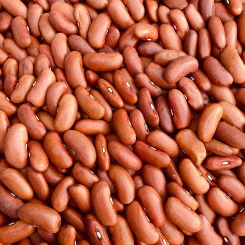 Dark Red Kidney Beans