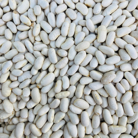 Cannellini Beans