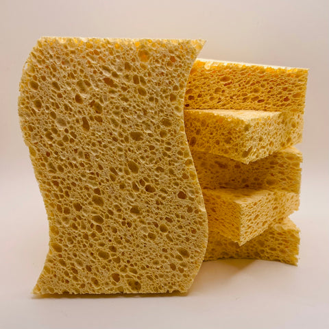 Biodegradable Sponge