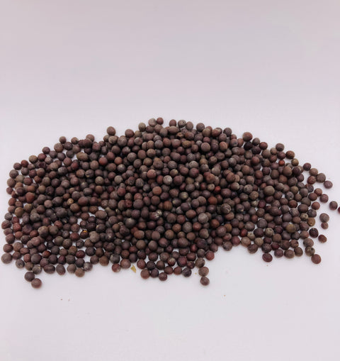 Mustard Seed, Black