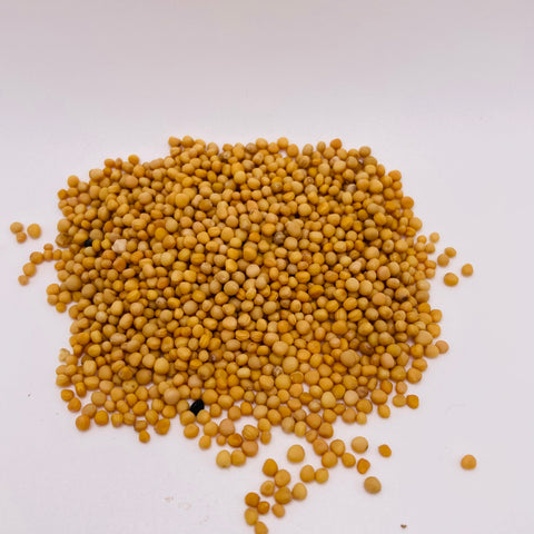 Mustard Seed, Yellow