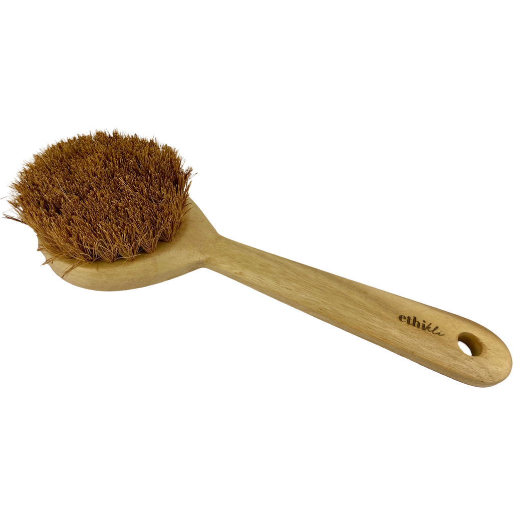 Body Brush with Long Handle