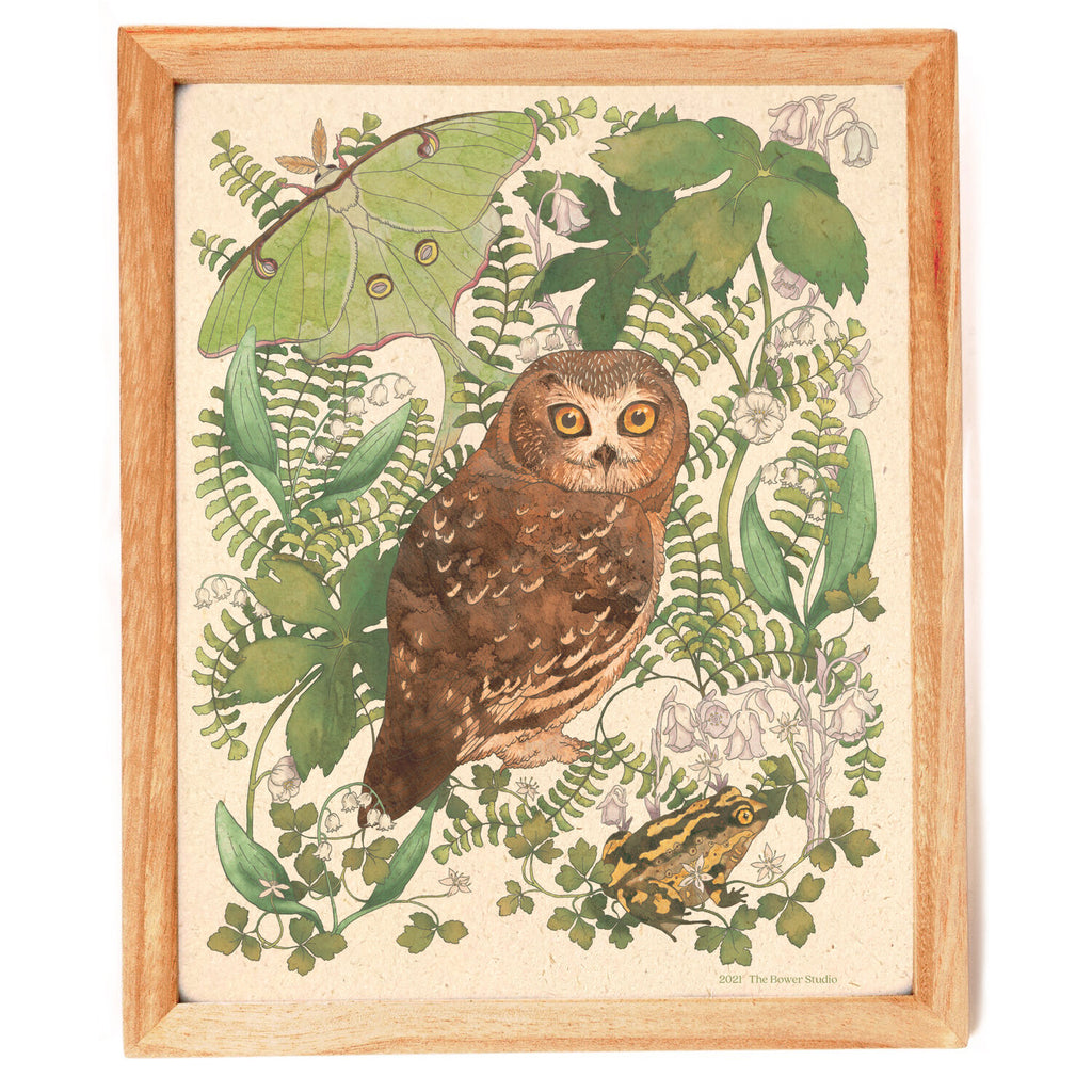 Moonlit Forest + Northern Saw-whet Owl Print