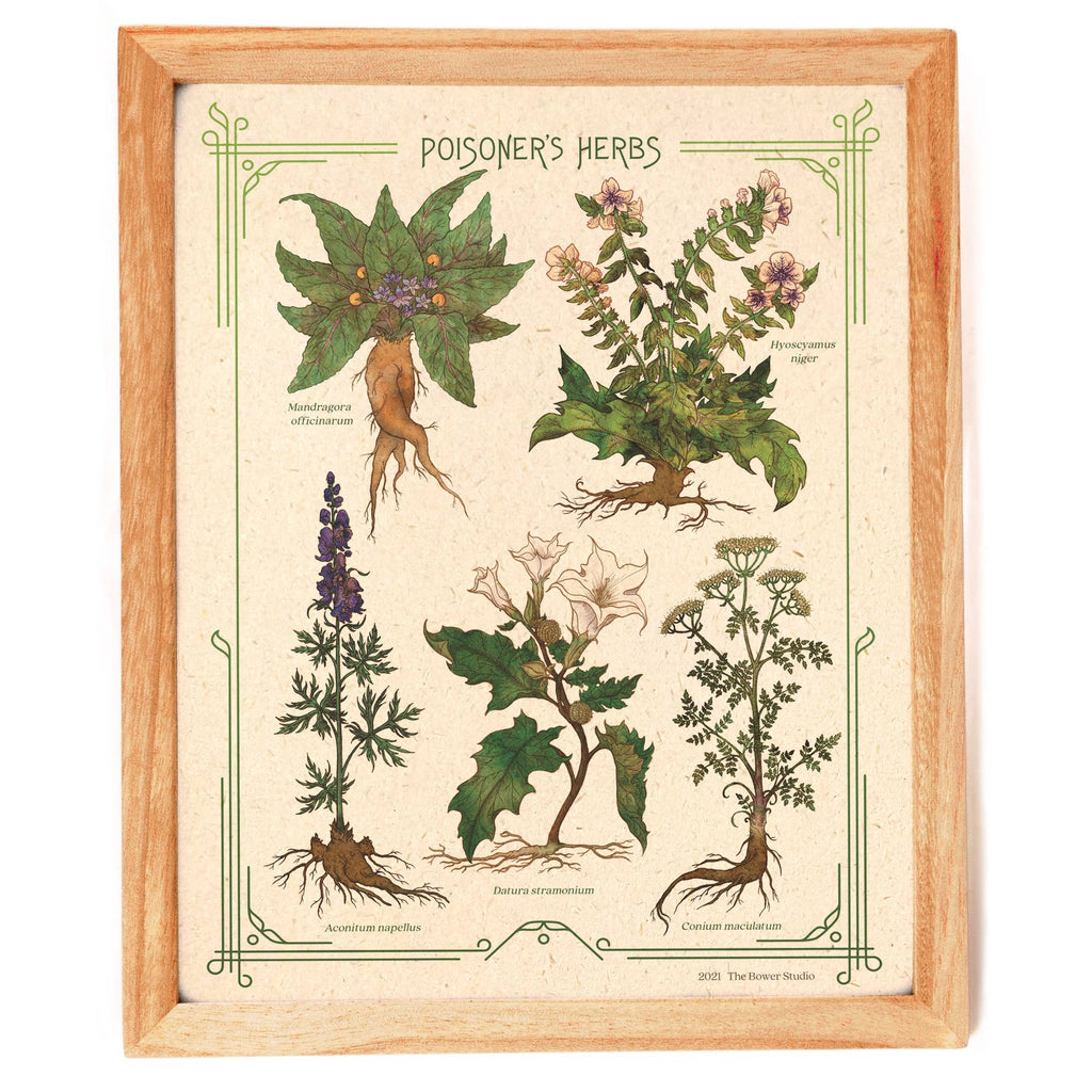 Poisoner's Herbs Print